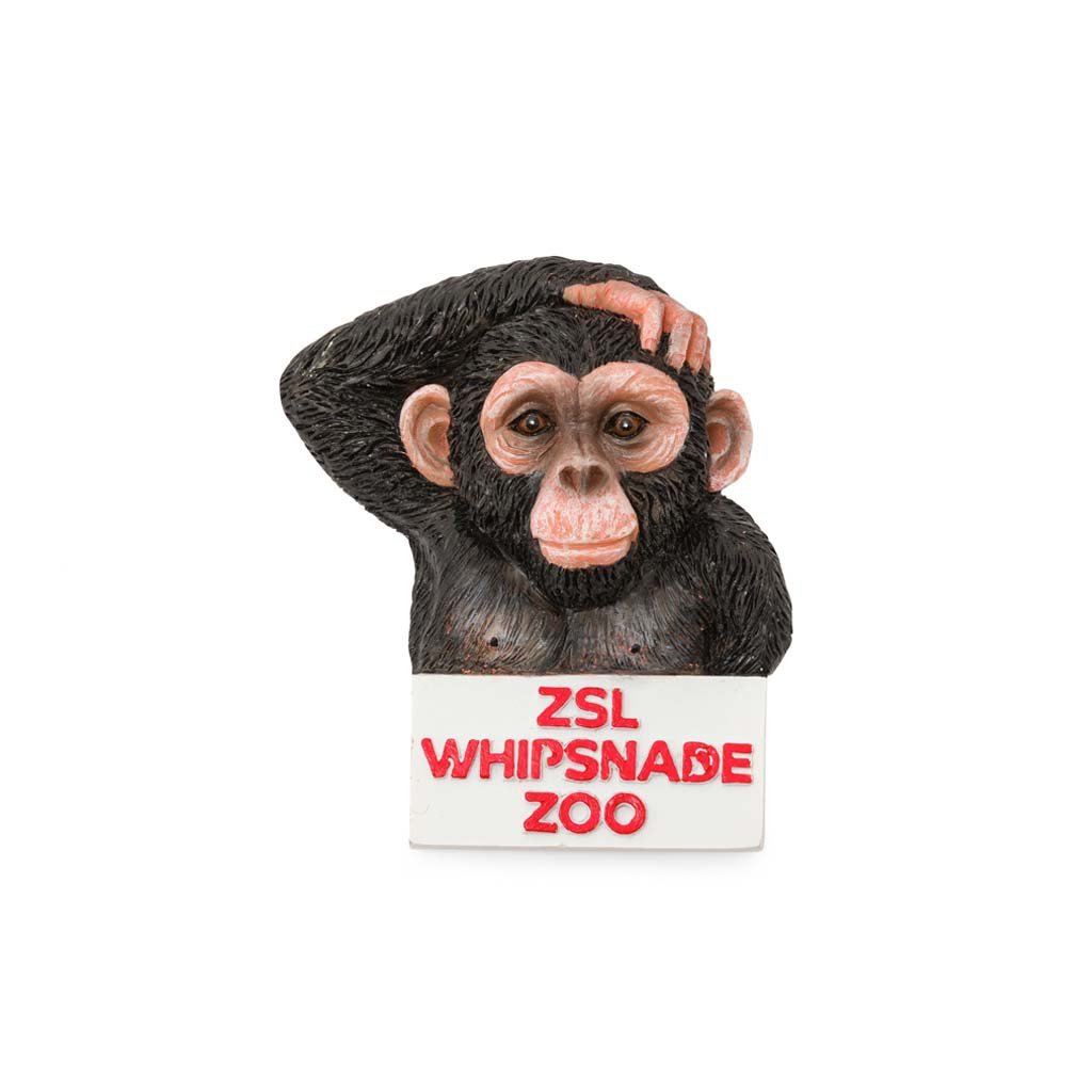 Whipsnade Zoo Chimp Magnet