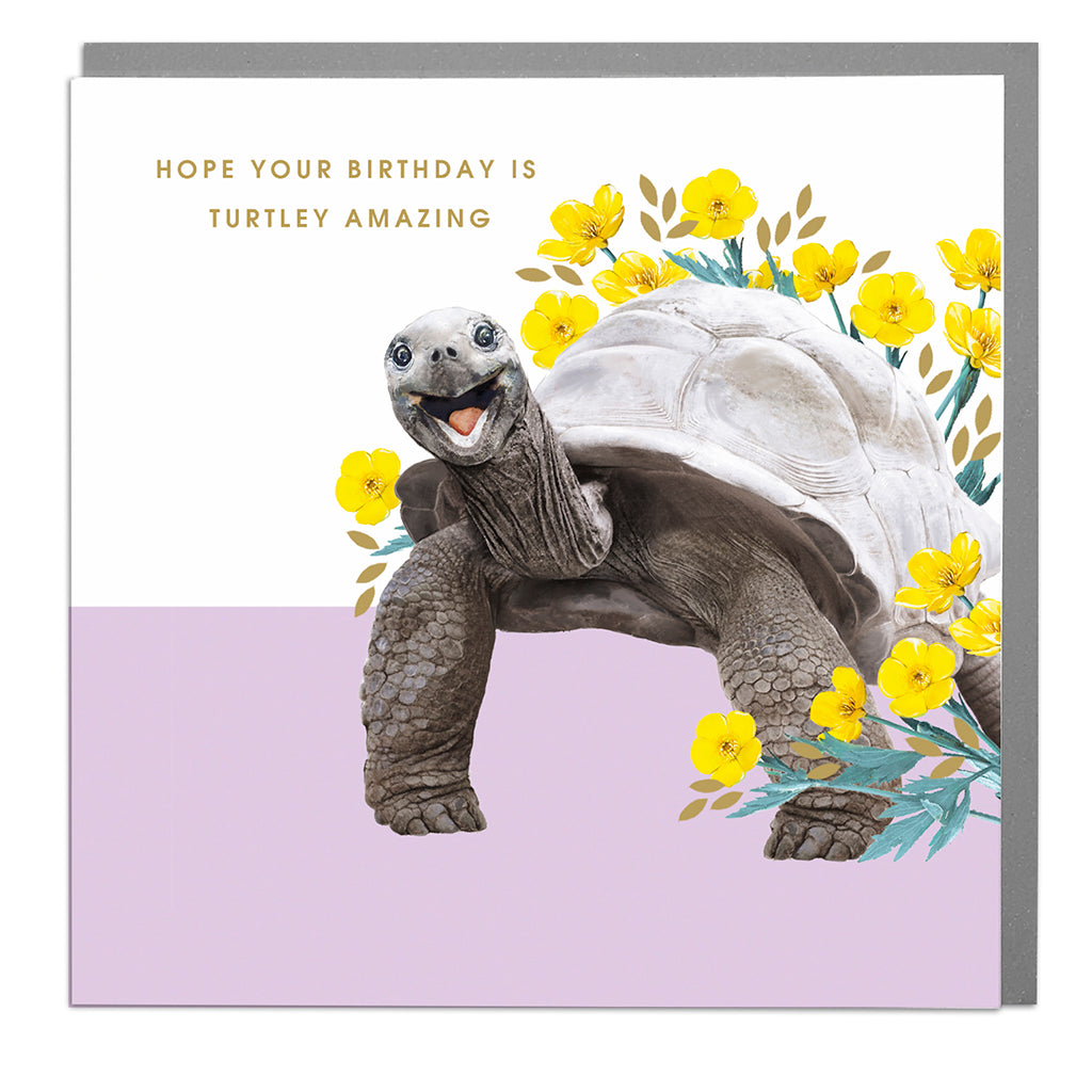 Tortoise Card