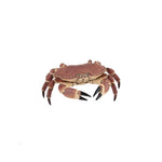 Papo Crab Figure