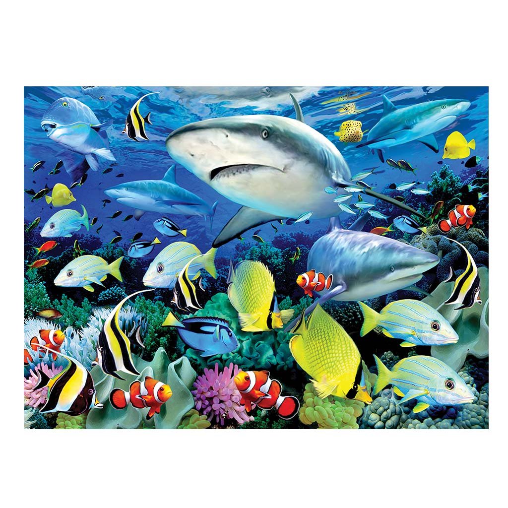 Reef Sharks Paint By Numbers Kit