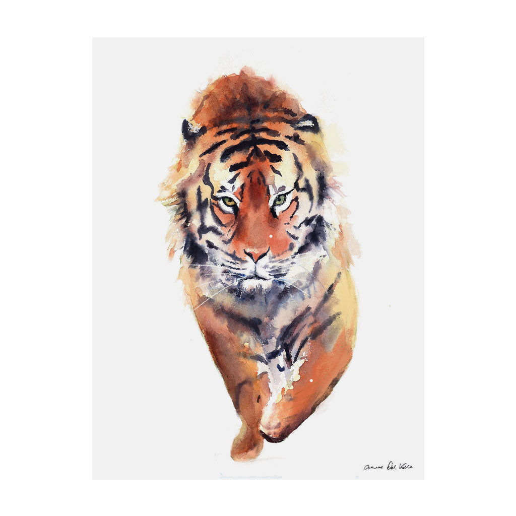 Tiger Canvas Art Print, 30x40cm