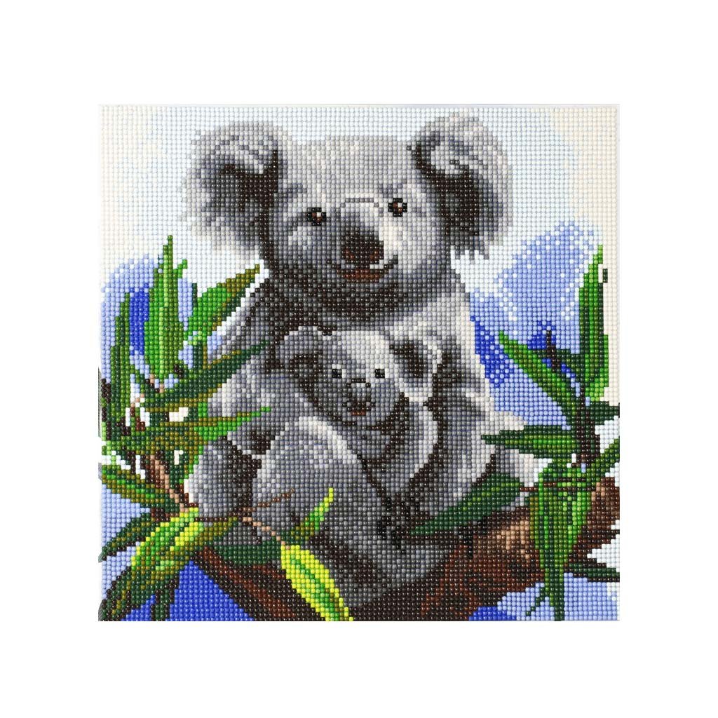 Koala Crystal Art Canvas Kit, 30cm X 30cm