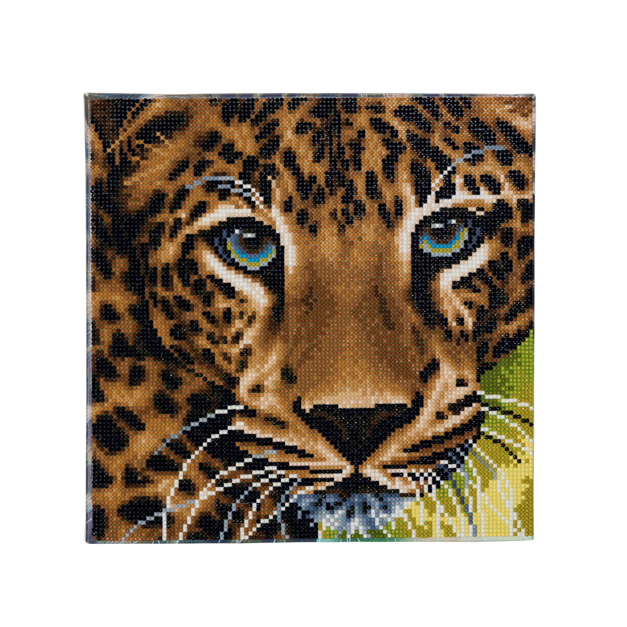 Leopard Crystal Art Canvas, 30X30cm
