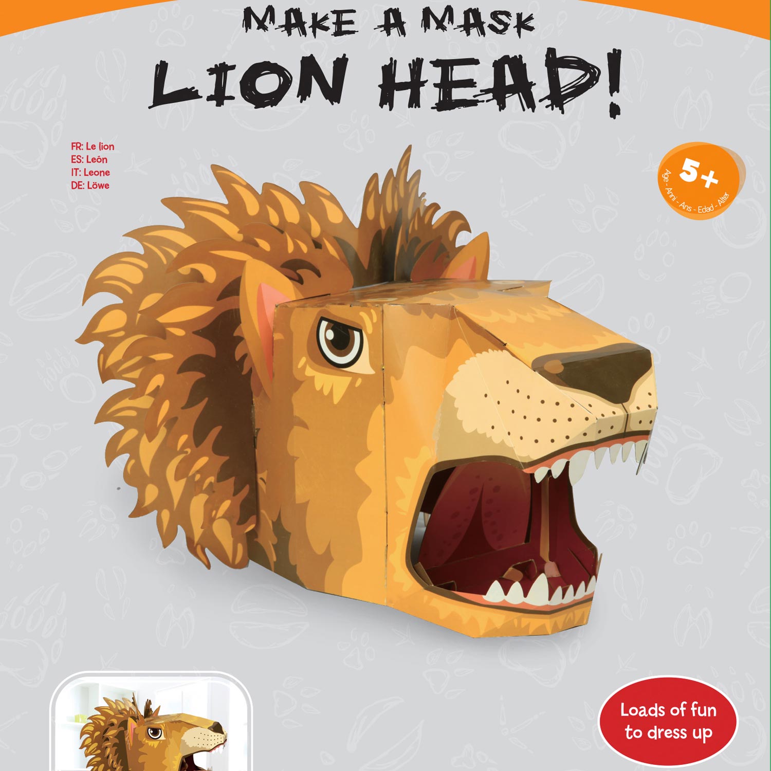 Lion 3D Mask Craft Set