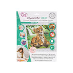 Baby Tiger Crystal Art & Craft Card