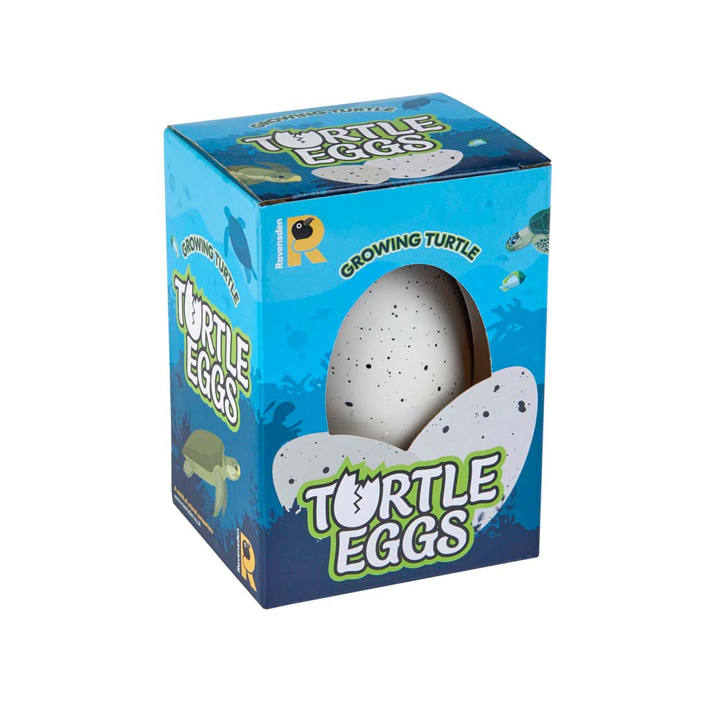 Hatch Your Own Turtle Egg