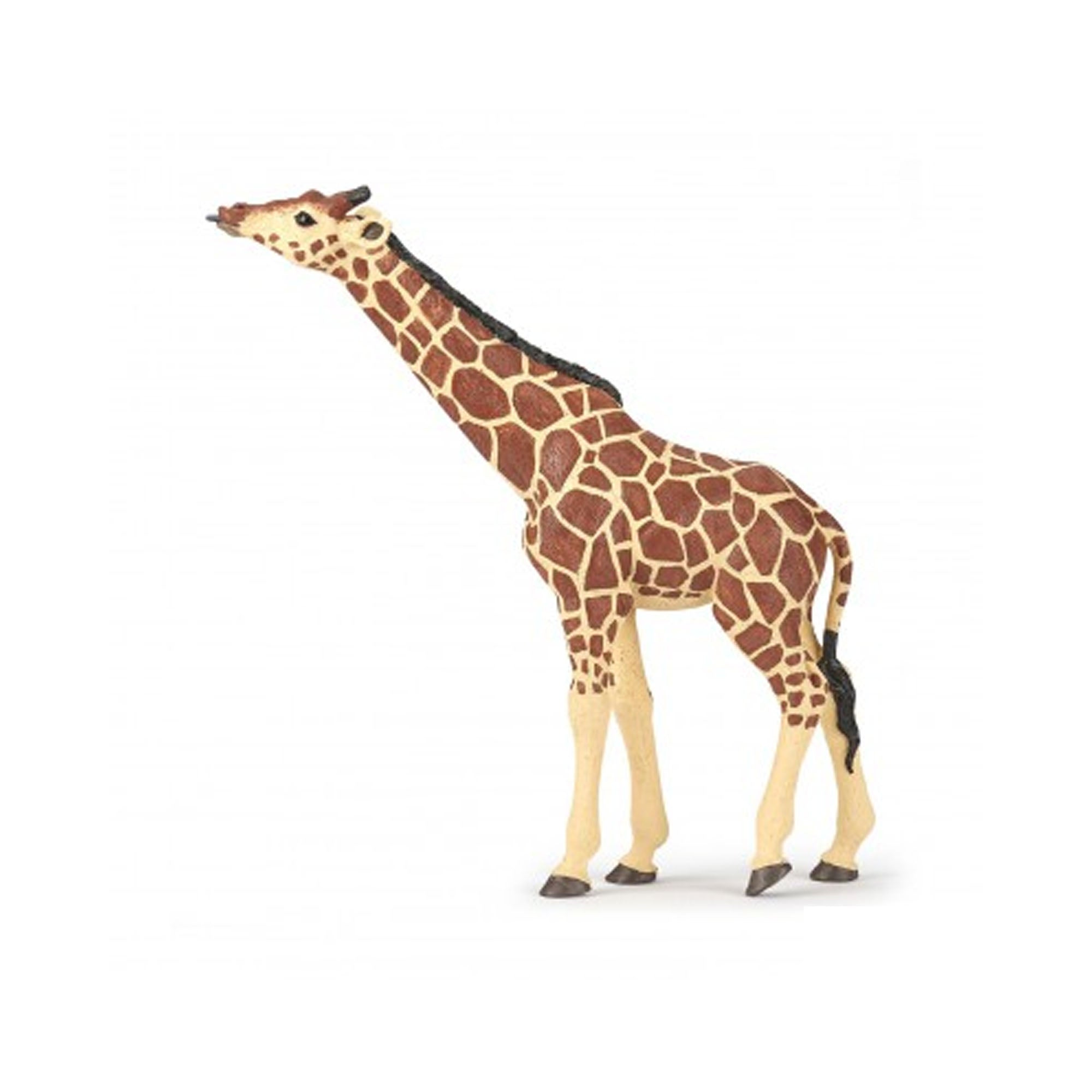 Giraffe Figure ZSL Shop   407267 Giraffe Head Raised 