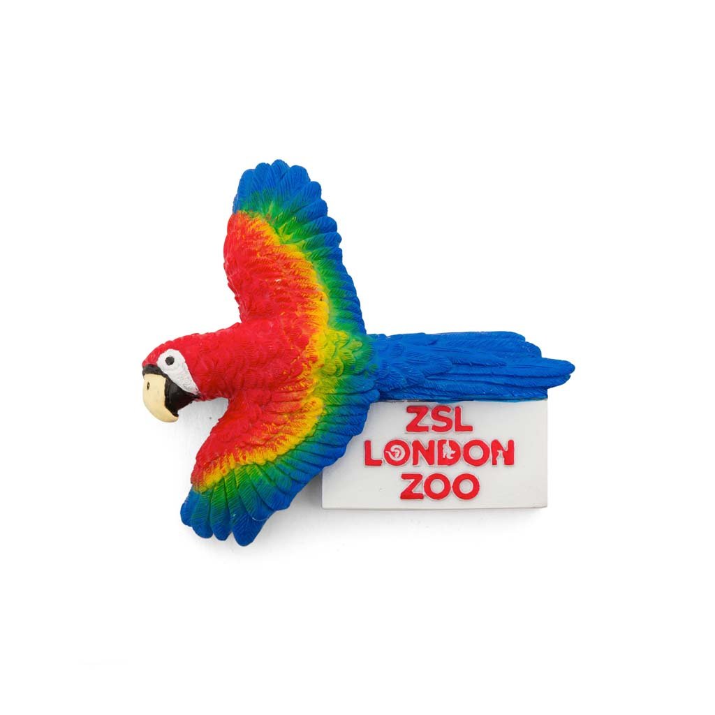 London Zoo Red Macaw Magnet