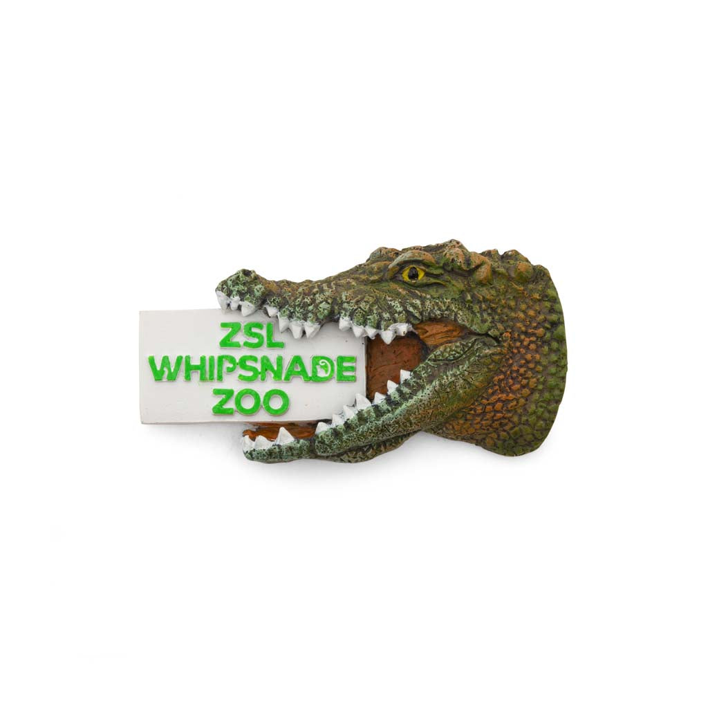 WZ Crocodile magnet