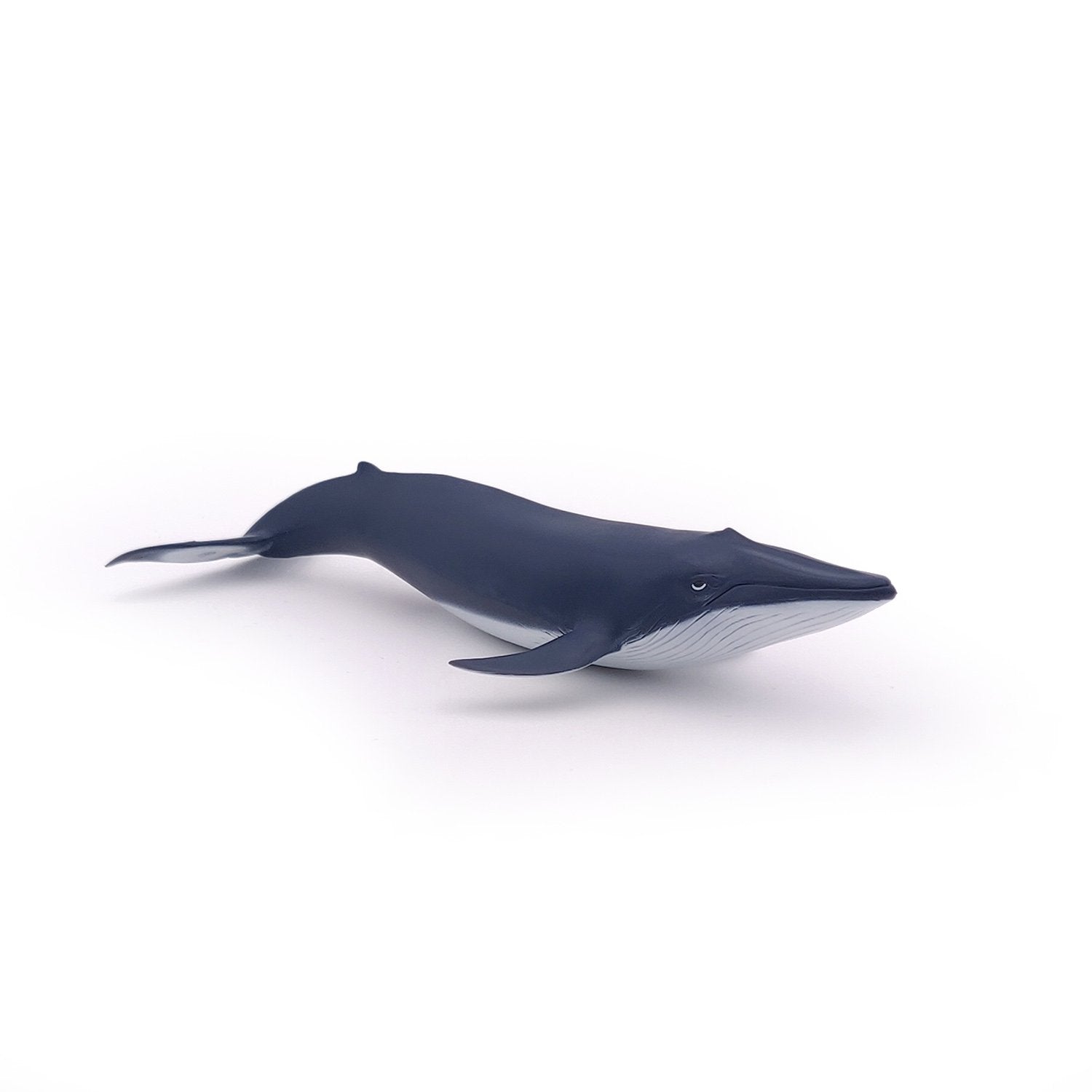 papo humpback whale