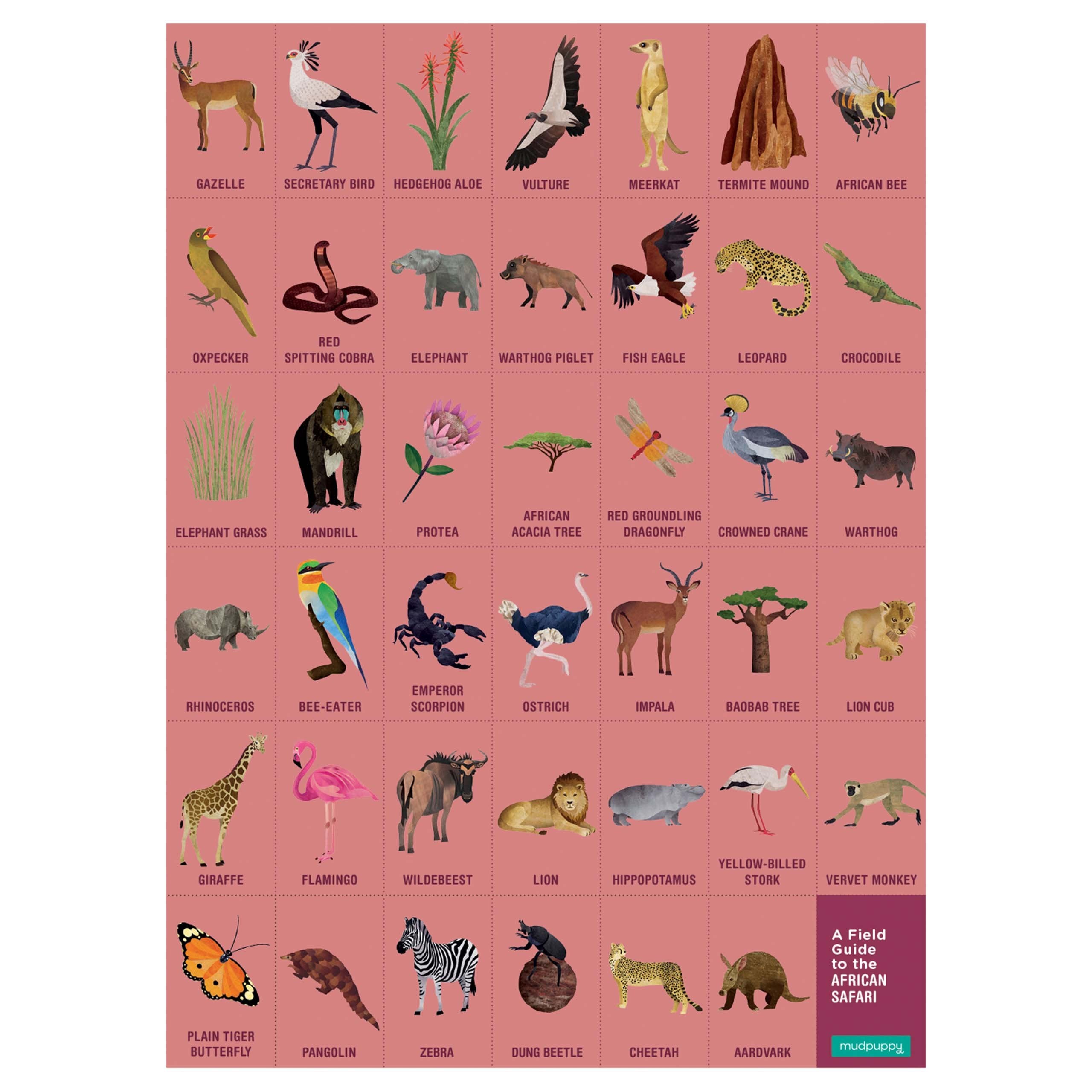 Safari Search And Find Jigsaw Puzzle | ZSL Shop