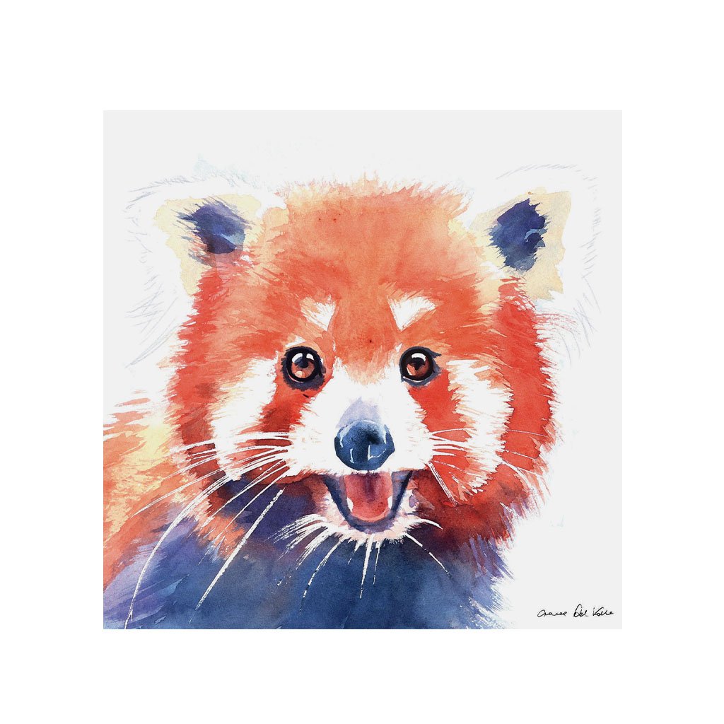 Red Panda Canvas Art Print, 30x30cm