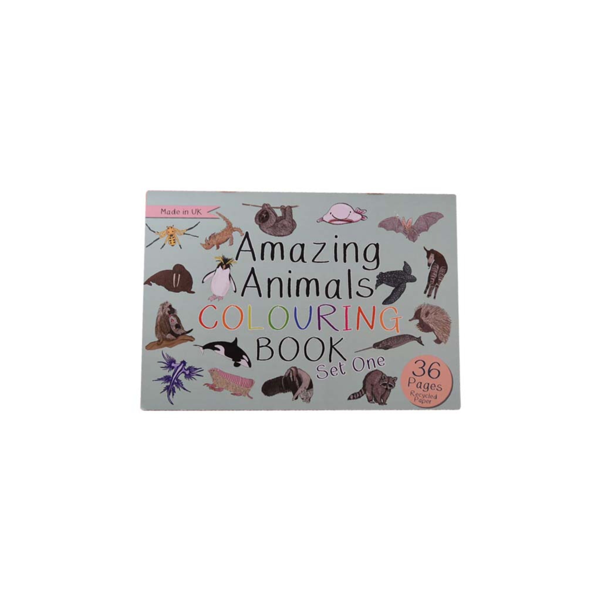 Amazing Animals Colouring Book