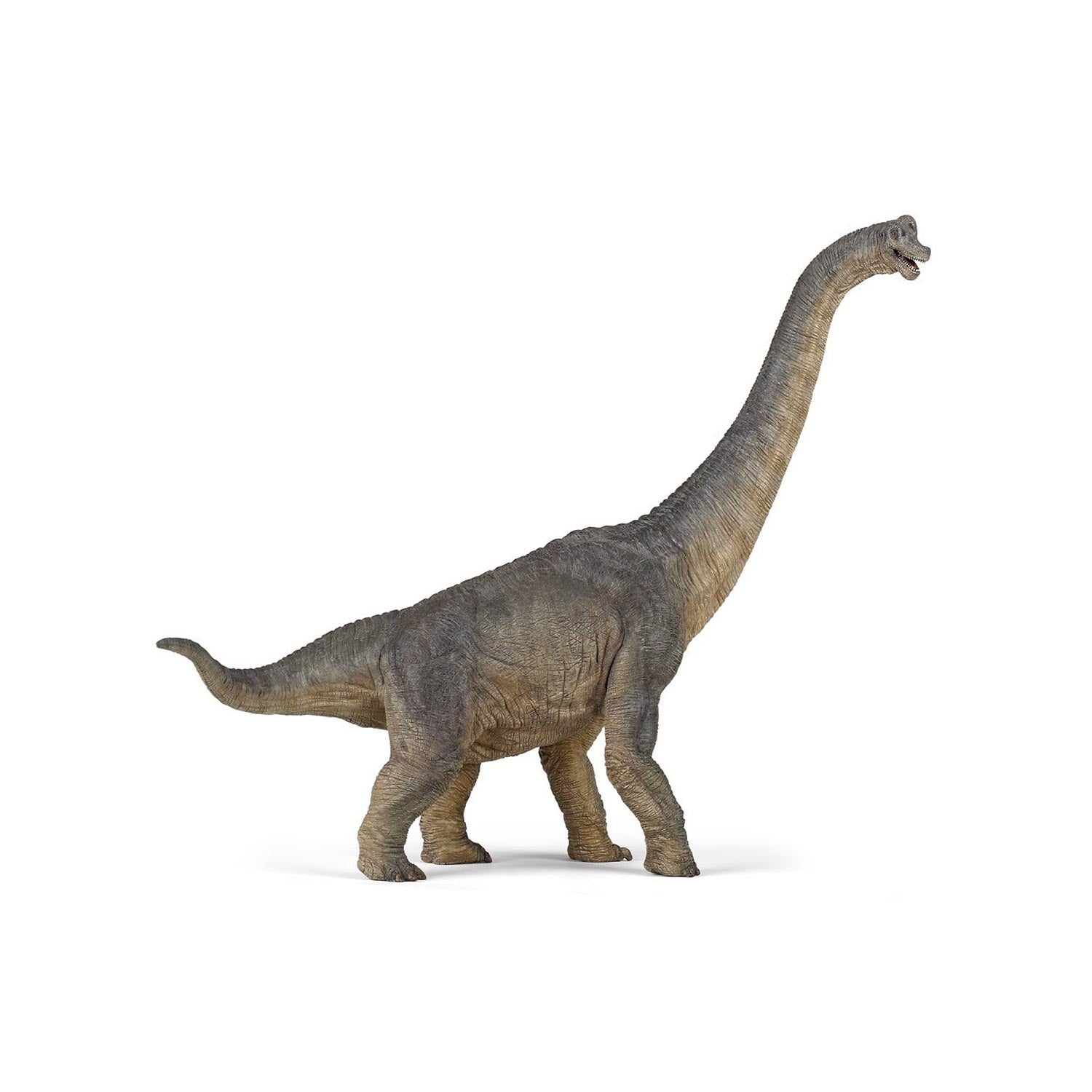 Papo Large Brachiosaurus Figure