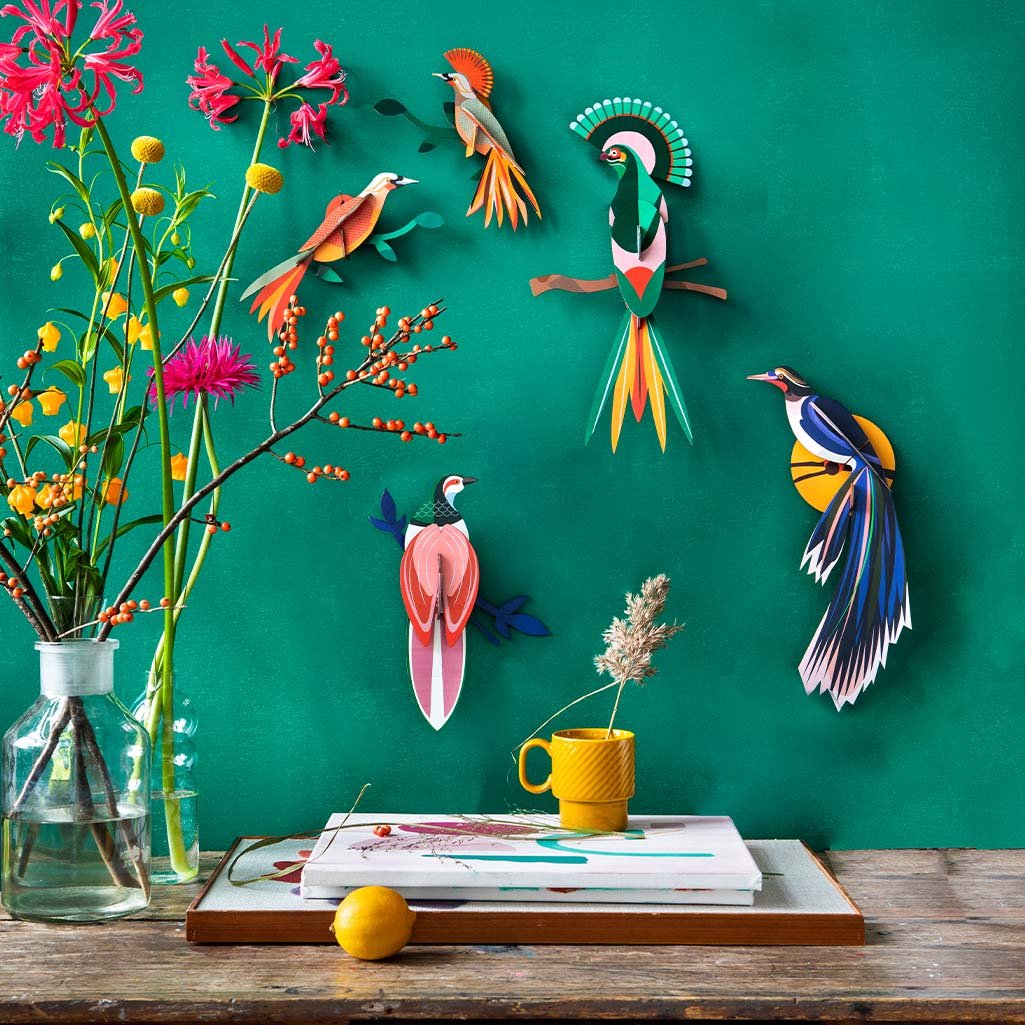Paradise bird, flores wall art lifestyle
