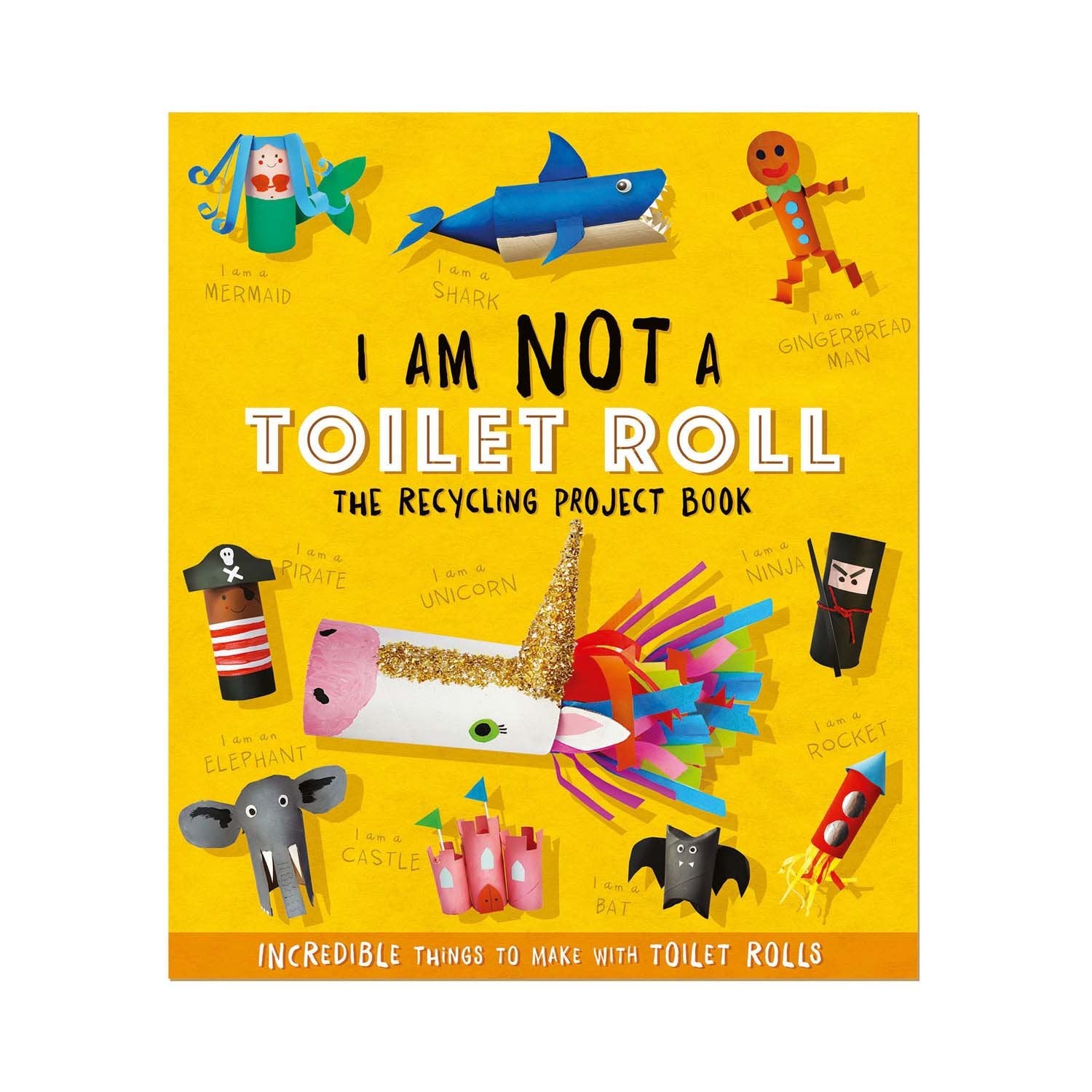 I AM NOT A TOILET ROLL BOOK - kids arts and craft book