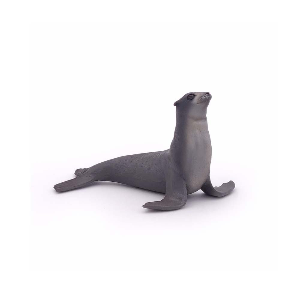 Sea lion figure 