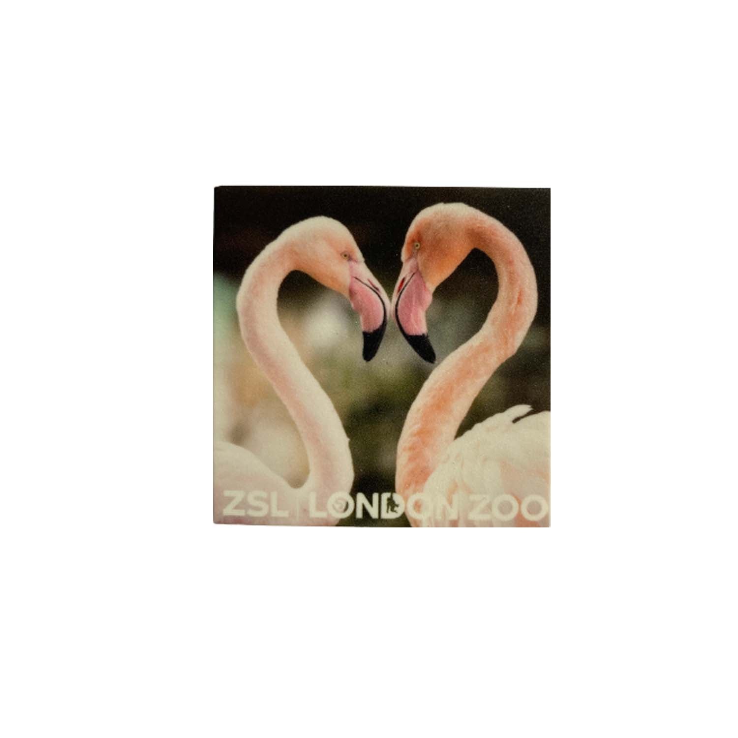 London Zoo Flamingos Photo Magnet
