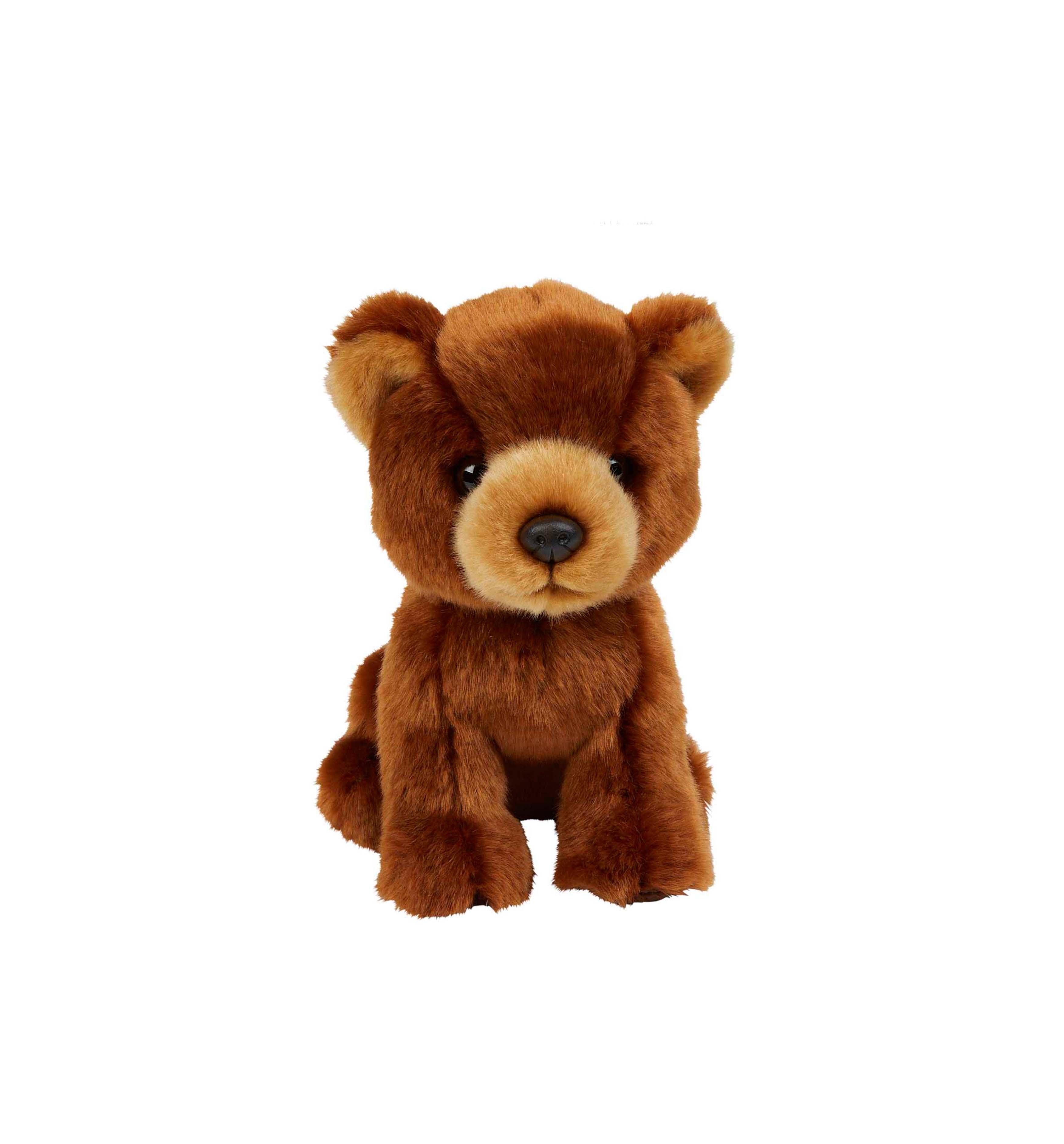 Baby Brown Bear Soft Toy, 18cm