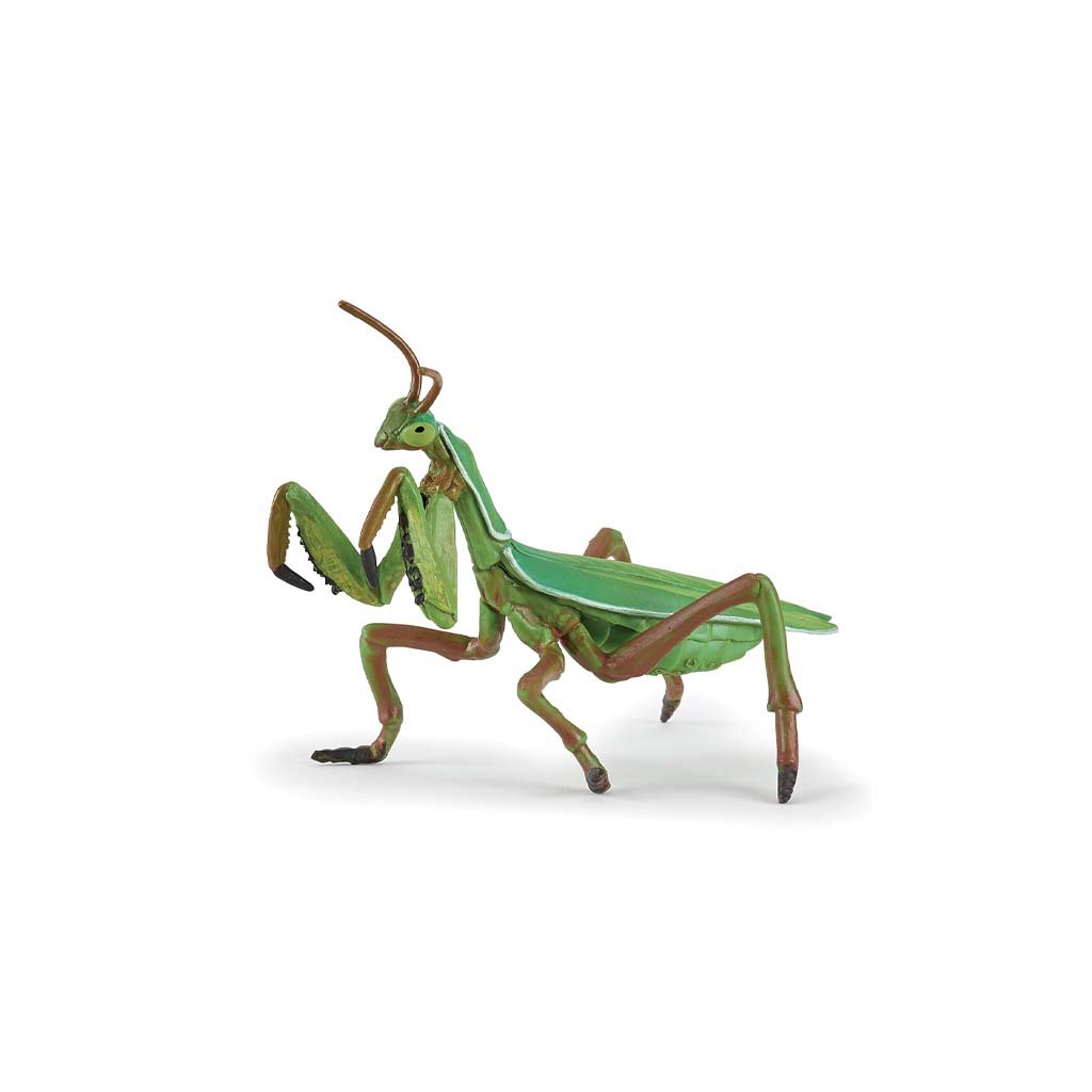 Praying mantis figure 