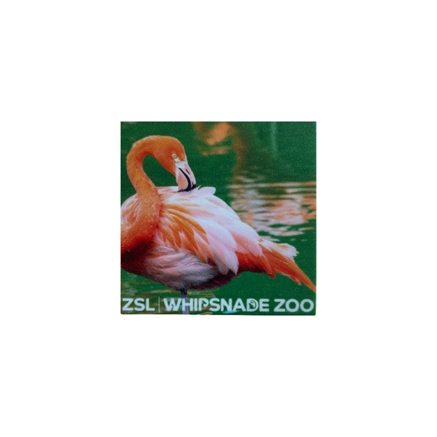 Whipsnade Zoo Flamingo Photo Magnet