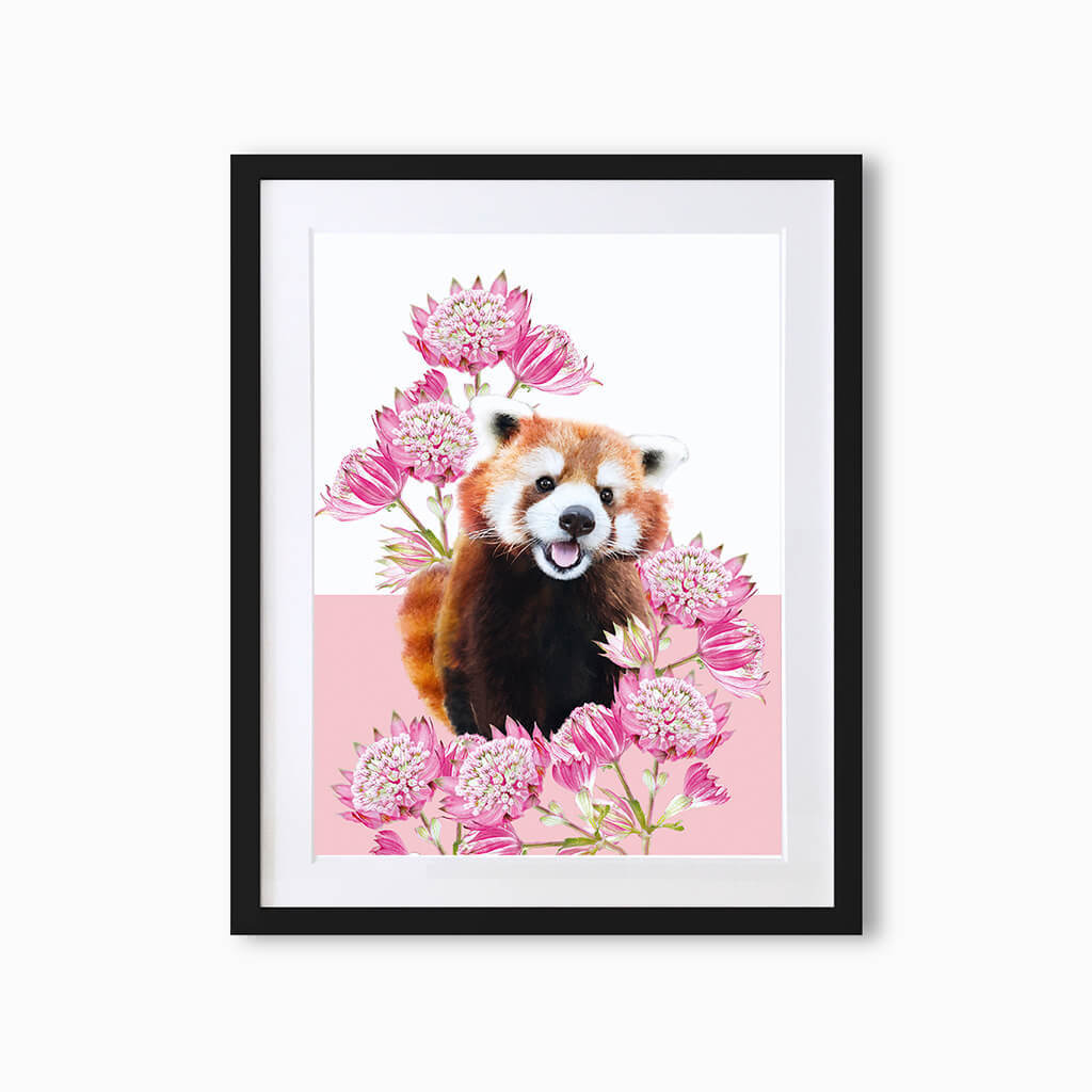 red panda art print