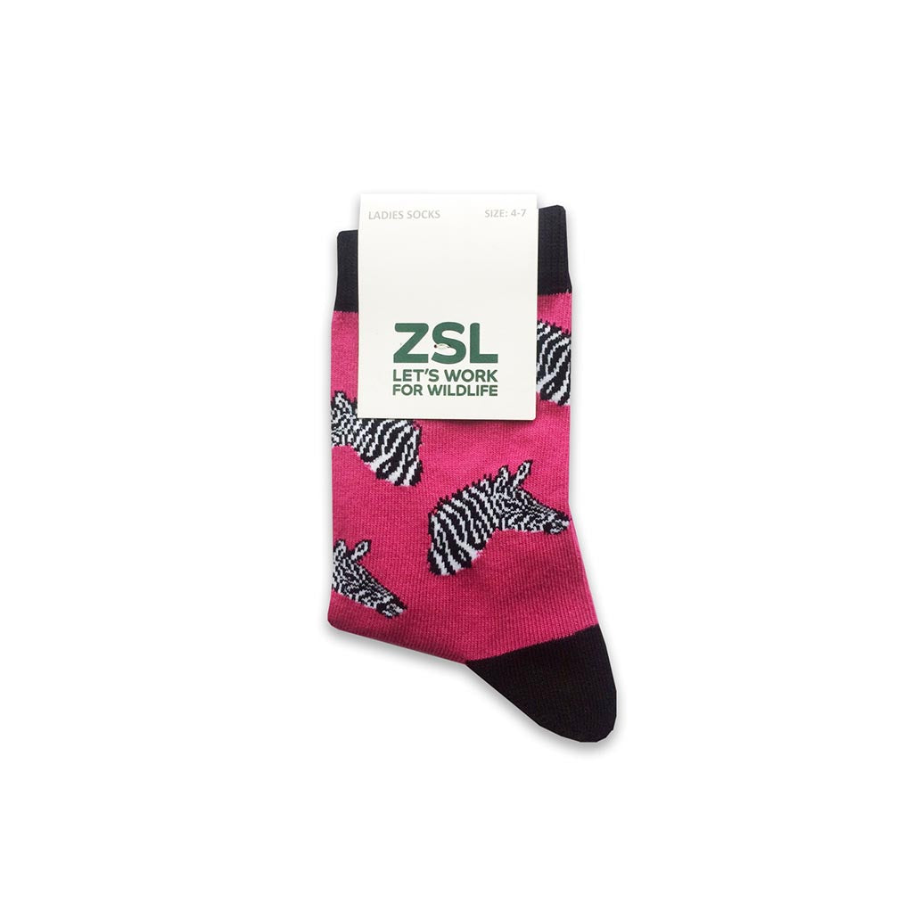 Zebra Socks, Adult